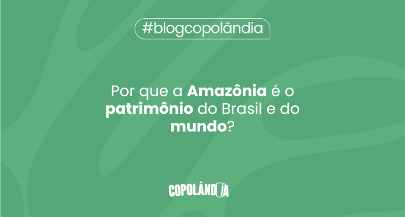 Matéria da Copolândia sobre Por que a Amazônia é o patrimônio do Brasil e do mundo?